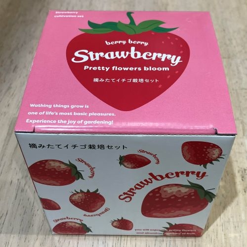 ハンズビーそよら湘南茅ヶ崎店】赤い果実に可憐な花、甘酸っぱい香りを 