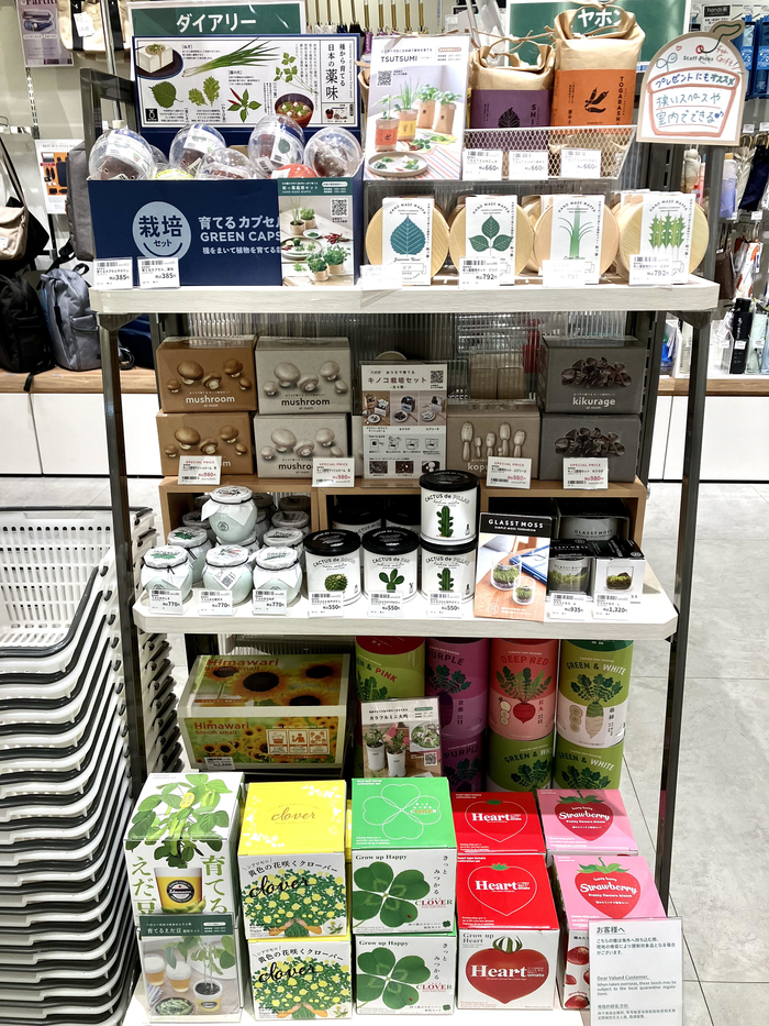 薬味からキノコまで?! そのまま育てる栽培セット☆ - ハンズ ビー