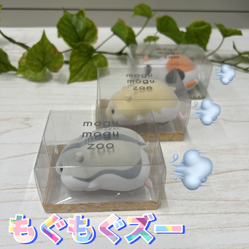 Image_20250619_131127_554.jpeg